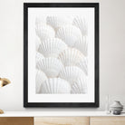 Shells_3 by Pictufy Studio III on GIANT ART - photography shells