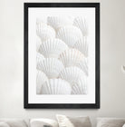 Shells_3 by Pictufy Studio III on GIANT ART - photography shells
