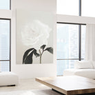 Peony 03 by Pictufy Studio III on GIANT ART - still life flower