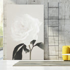 Peony 03 by Pictufy Studio III on GIANT ART - still life flower