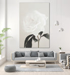 Peony 03 by Pictufy Studio III on GIANT ART - still life flower
