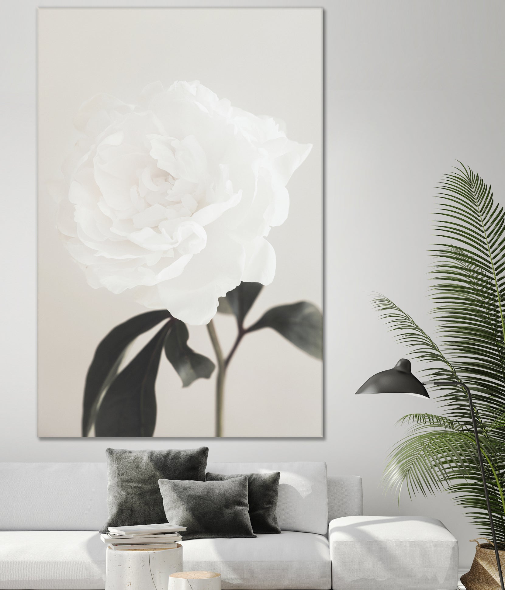Peony 03 by Pictufy Studio III on GIANT ART - still life flower