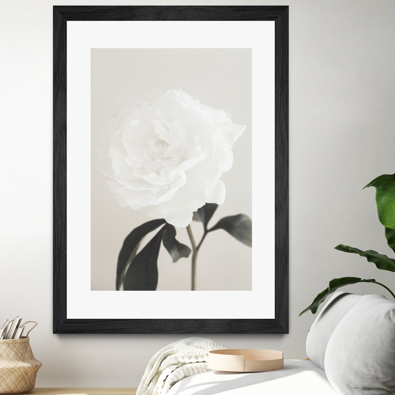 Peony 03 by Pictufy Studio III on GIANT ART - still life flower