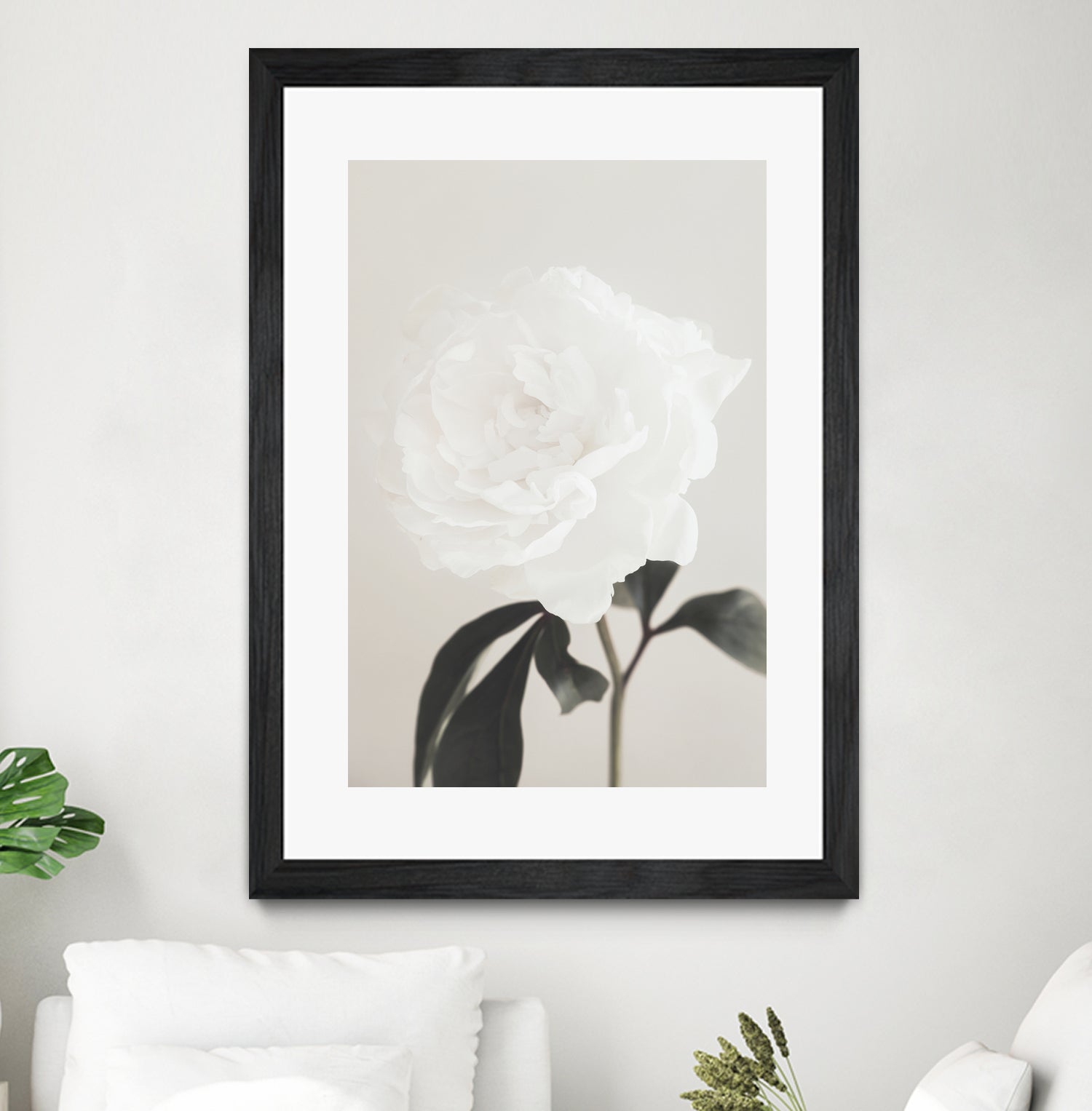 Peony 03 by Pictufy Studio III on GIANT ART - still life flower