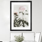 Peony 04 by Pictufy on GIANT ART - still life flower