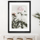 Peony 04 by Pictufy on GIANT ART - still life flower