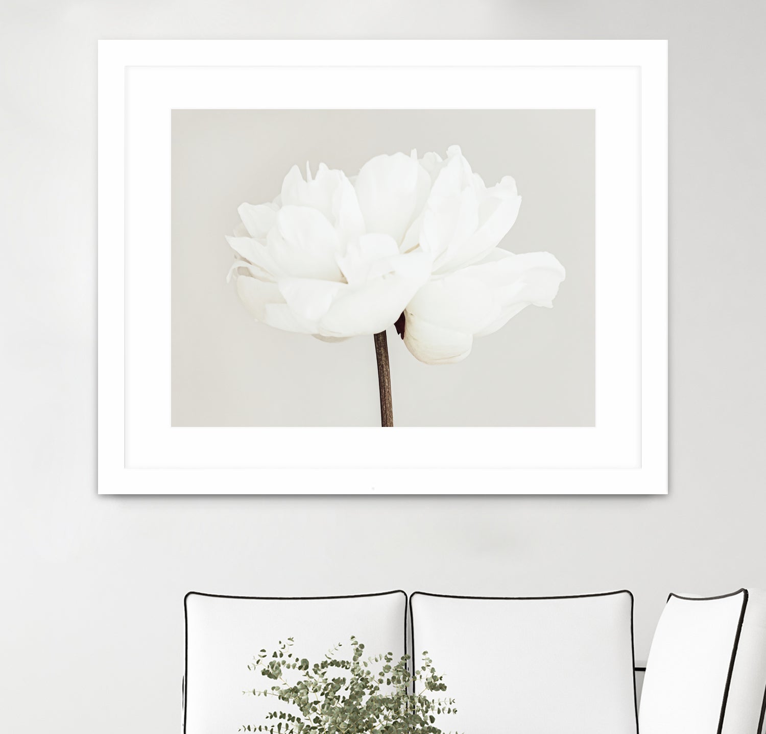 Peony 11 by Pictufy Studio III on GIANT ART - photography flower