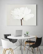 Peony 11 by Pictufy Studio III on GIANT ART - photography flower