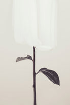 Peony 18 by Pictufy Studio III on GIANT ART - creative edit flower