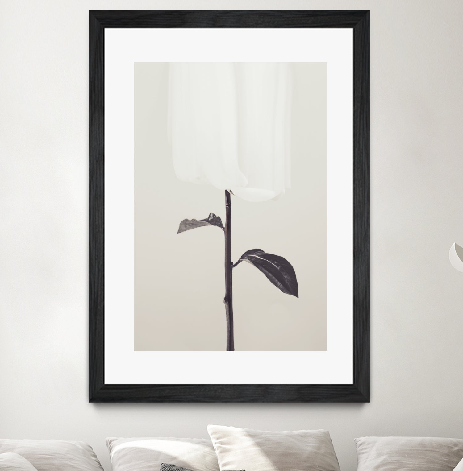 Peony 18 by Pictufy Studio III on GIANT ART - creative edit flower