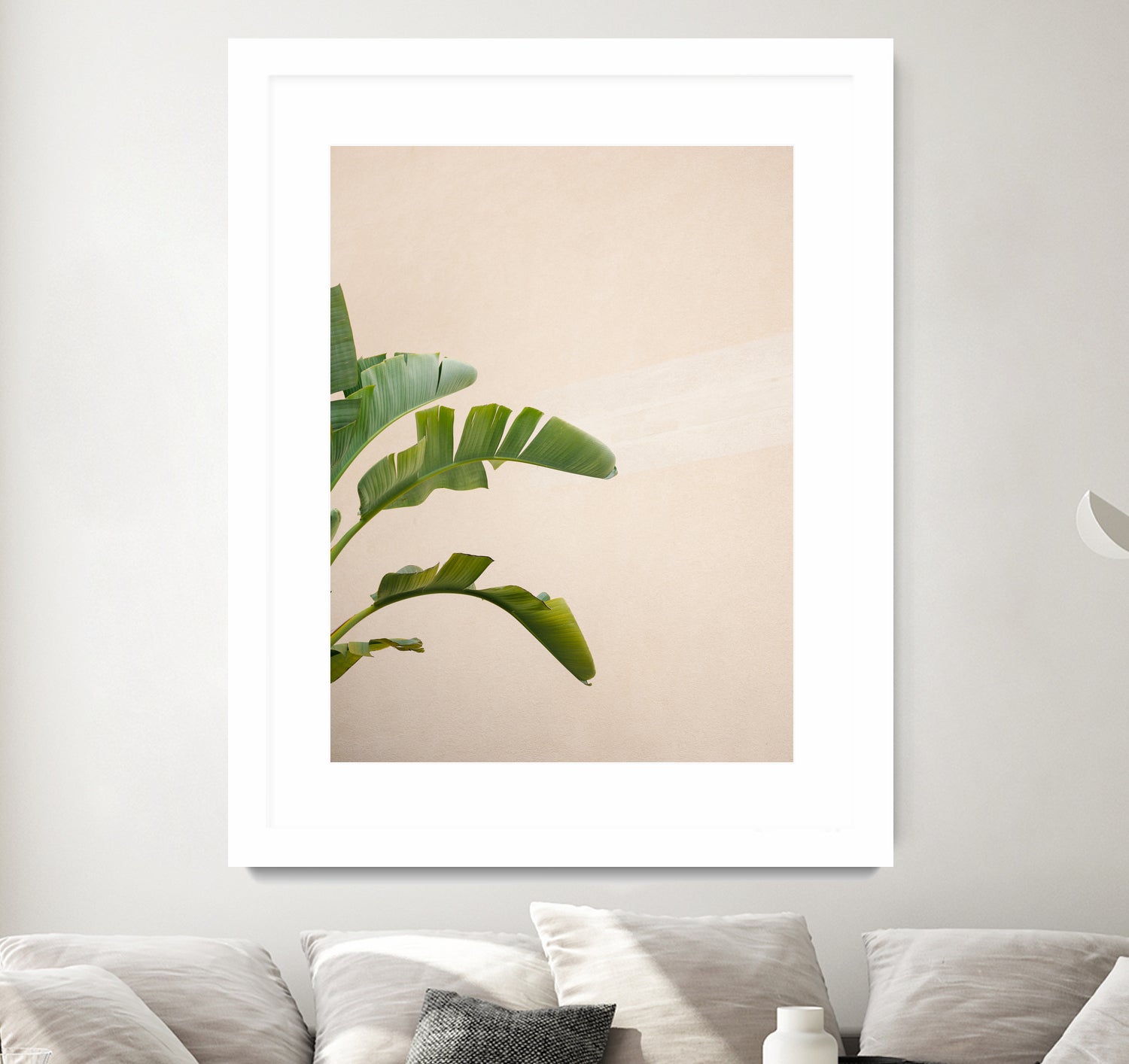 Cannes Banana Plant by Raisa on GIANT ART - photography banana