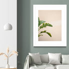 Cannes Banana Plant by Raisa on GIANT ART - photography banana