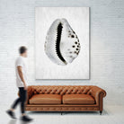 Spring Tide by Shot by Clint on GIANT ART - macro seashell art