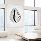 Spring Tide by Shot by Clint on GIANT ART - macro seashell art