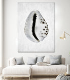 Spring Tide by Shot by Clint on GIANT ART - macro seashell art