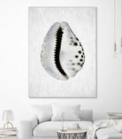 Spring Tide by Shot by Clint on GIANT ART - macro seashell art