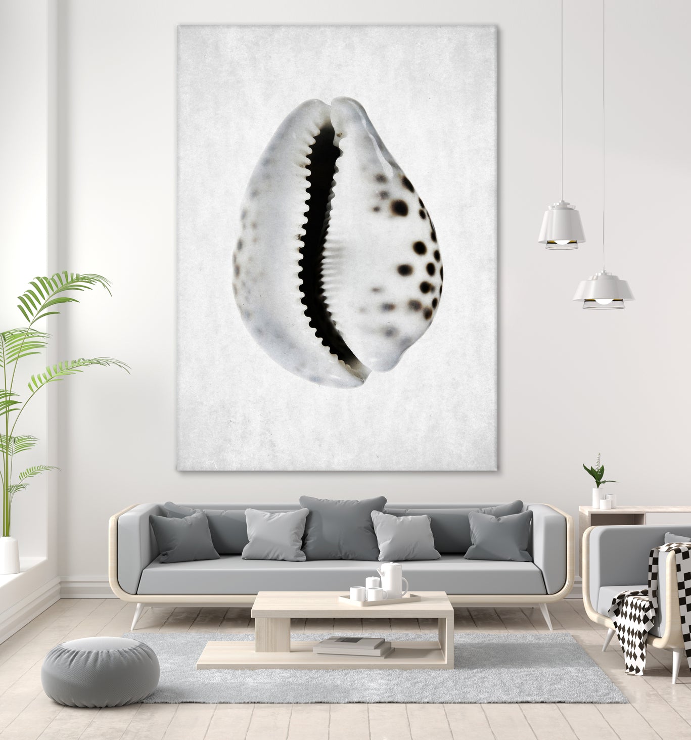 Spring Tide by Shot by Clint on GIANT ART - macro seashell art