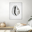 Spring Tide by Shot by Clint on GIANT ART - macro seashell art