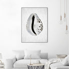 Spring Tide by Shot by Clint on GIANT ART - macro seashell art