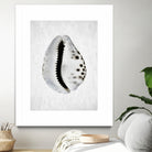 Spring Tide by Shot by Clint on GIANT ART - macro seashell art