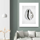 Spring Tide by Shot by Clint on GIANT ART - macro seashell art