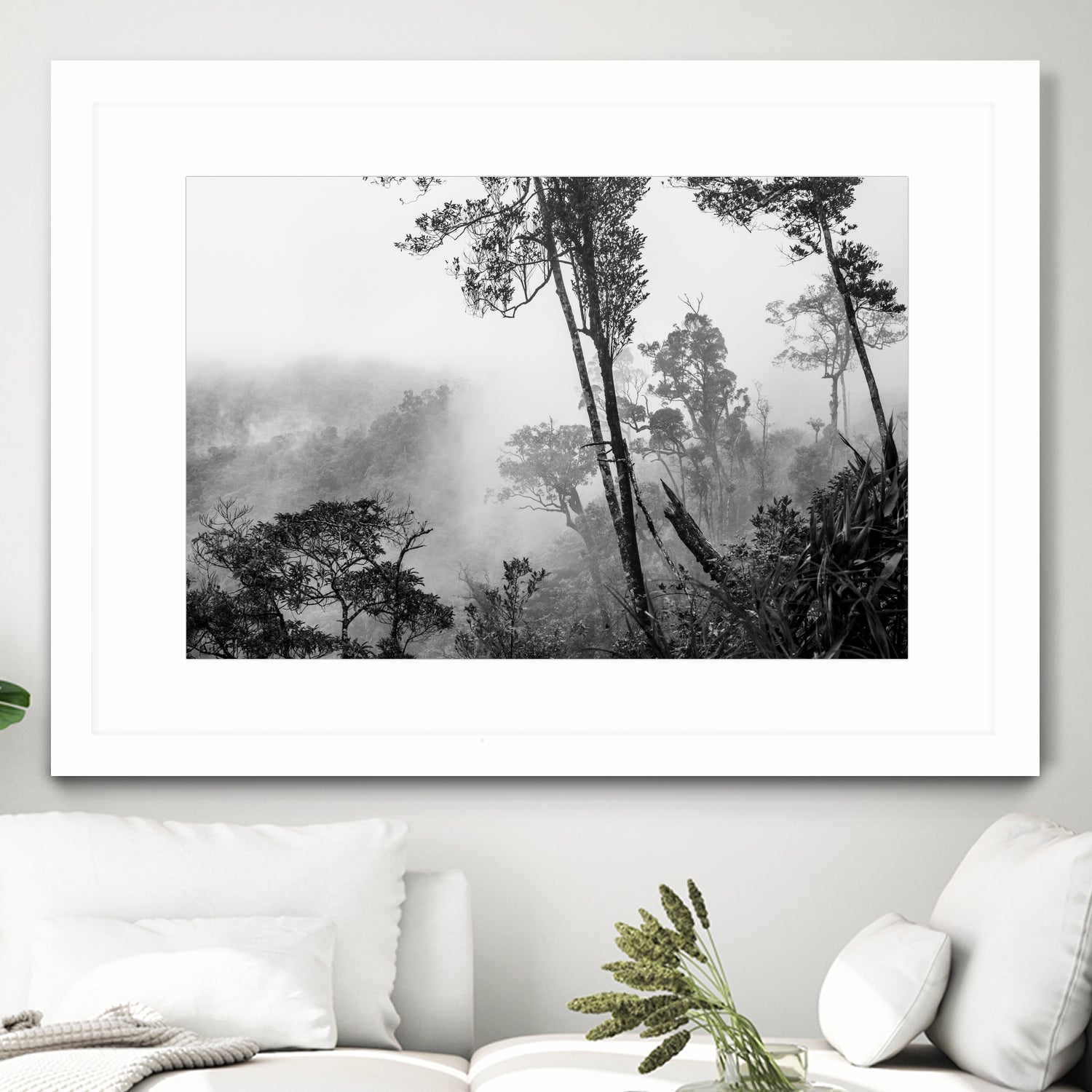 Trees in misty forest by Photolovers on GIANT ART - photograhy forest