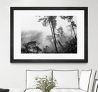 Trees in misty forest by Photolovers on GIANT ART - photograhy forest