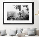 Trees in misty forest by Photolovers on GIANT ART - photograhy forest