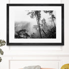 Trees in misty forest by Photolovers on GIANT ART - photograhy forest