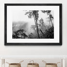 Trees in misty forest by Photolovers on GIANT ART - photograhy forest