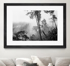 Trees in misty forest by Photolovers on GIANT ART - photograhy forest