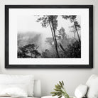 Trees in misty forest by Photolovers on GIANT ART - photograhy forest