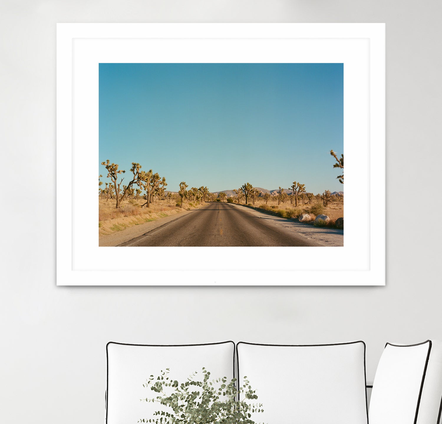 Joshua Tree Road by Bethany Young on GIANT ART - landscape usa