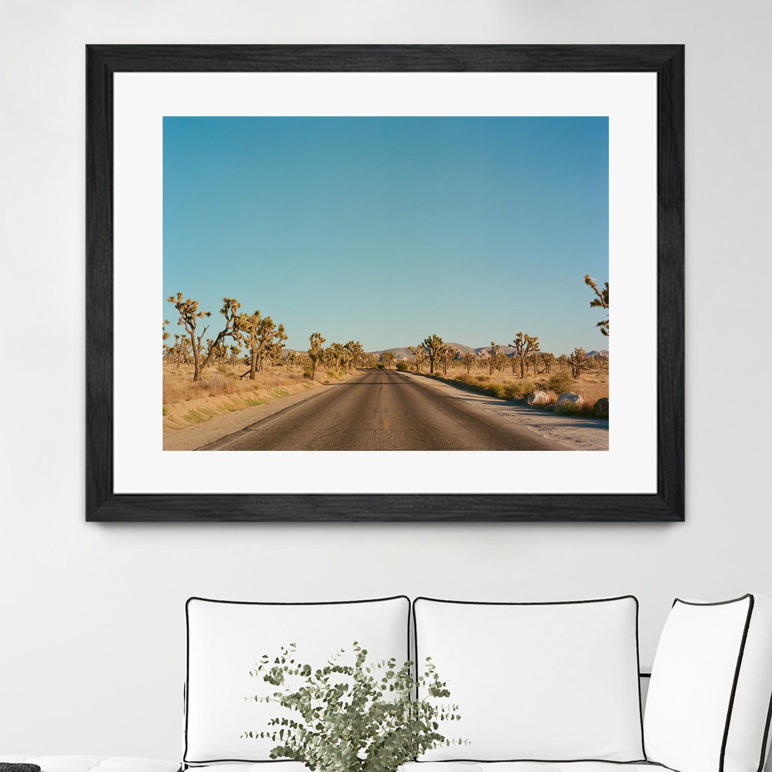 Joshua Tree Road by Bethany Young on GIANT ART - landscape usa