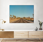 Joshua Tree Road by Bethany Young on GIANT ART - landscape usa