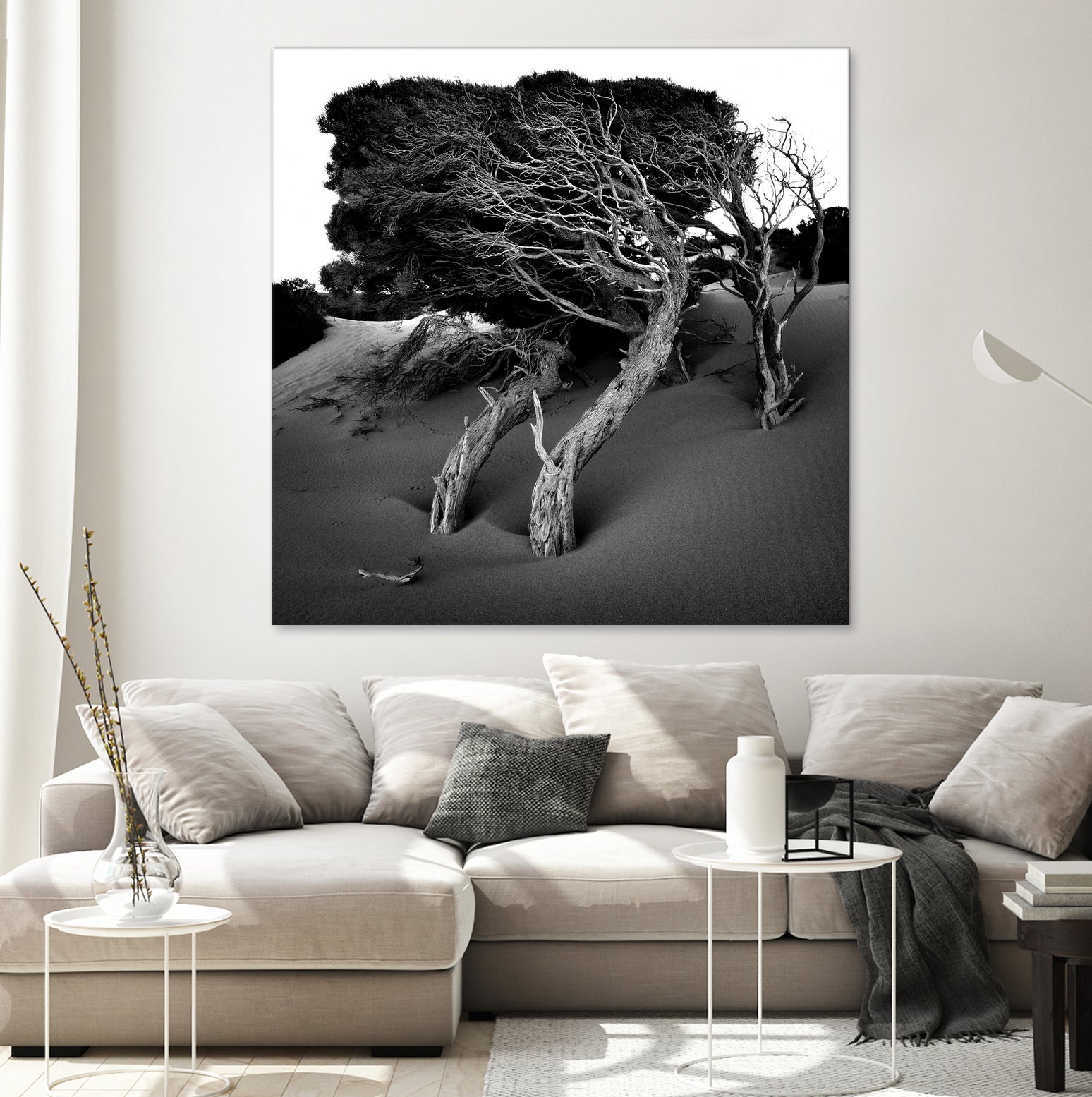 Windswept Tree by Injidup Western Australia on GIANT ART - black and white mark