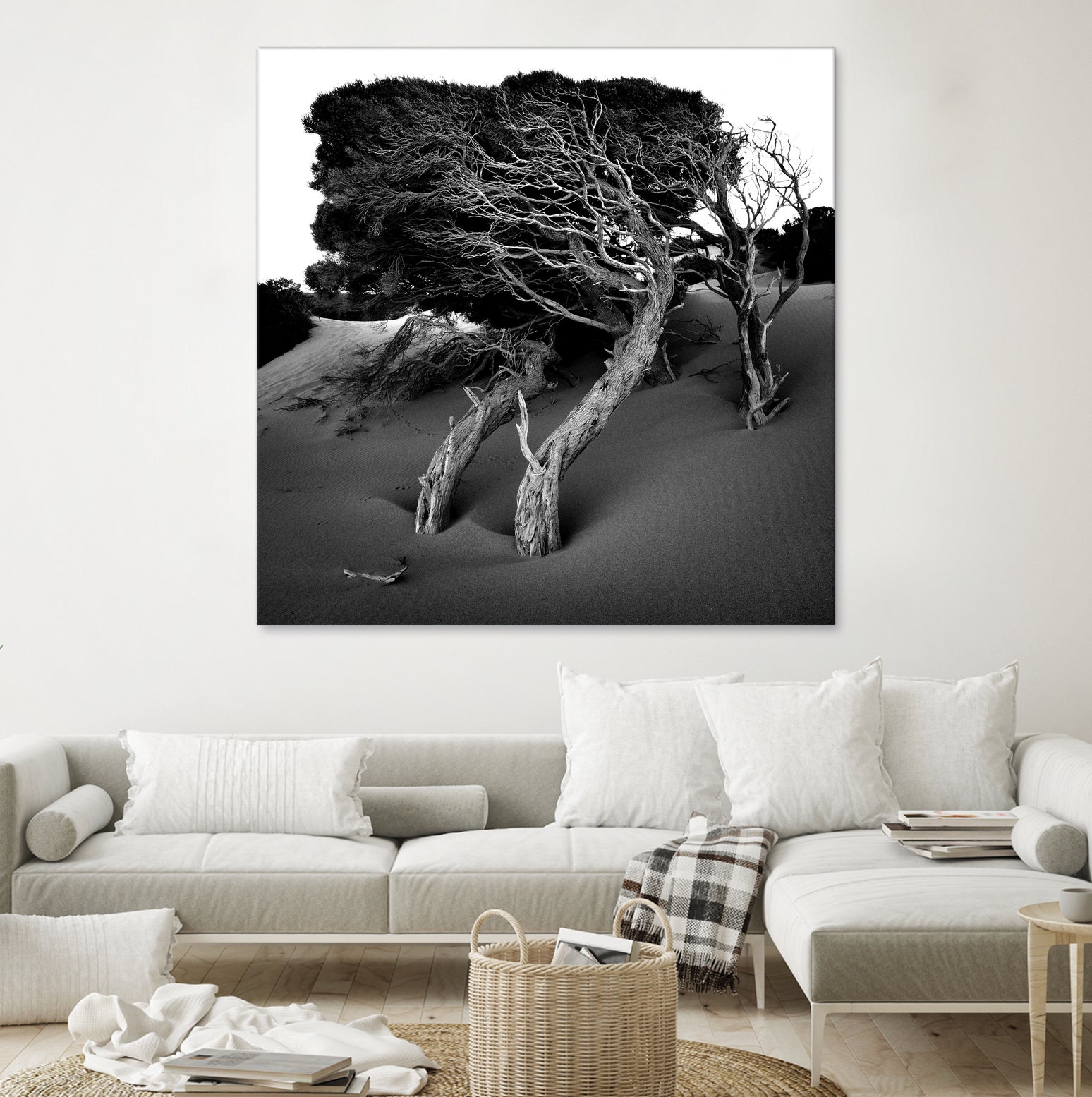 Windswept Tree by Injidup Western Australia on GIANT ART - black and white mark