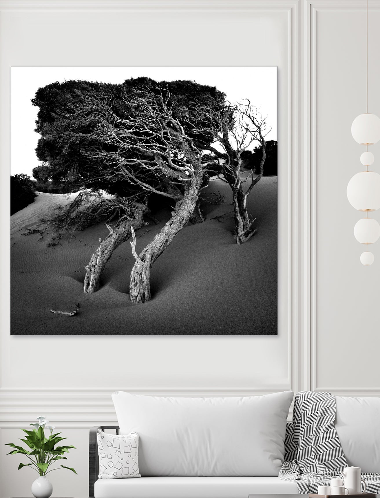 Windswept Tree by Injidup Western Australia on GIANT ART - black and white mark