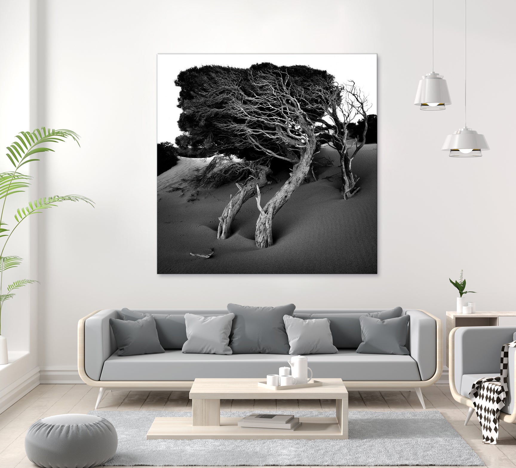 Windswept Tree by Injidup Western Australia on GIANT ART - black and white mark