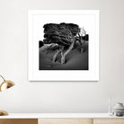 Windswept Tree by Injidup Western Australia on GIANT ART - black and white mark