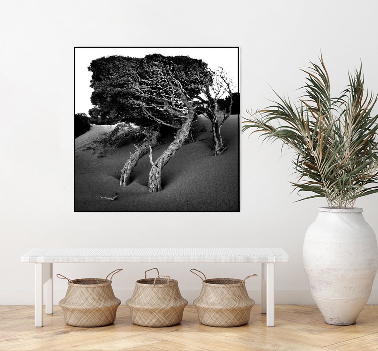 Windswept Tree by Injidup Western Australia on GIANT ART - black and white mark