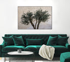 Olive Trees by Photolovers on GIANT ART - landscape plant