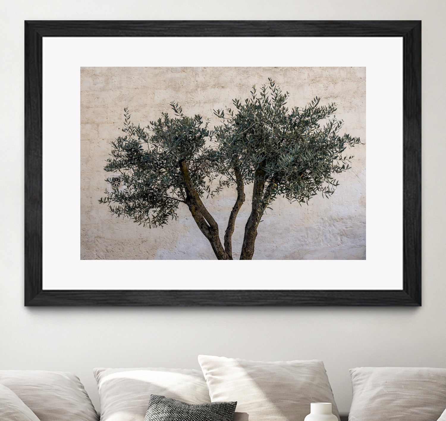 Olive Trees by Photolovers on GIANT ART - landscape plant