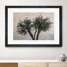 Olive Trees by Photolovers on GIANT ART - landscape plant