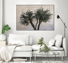 Olive Trees by Photolovers on GIANT ART - landscape plant