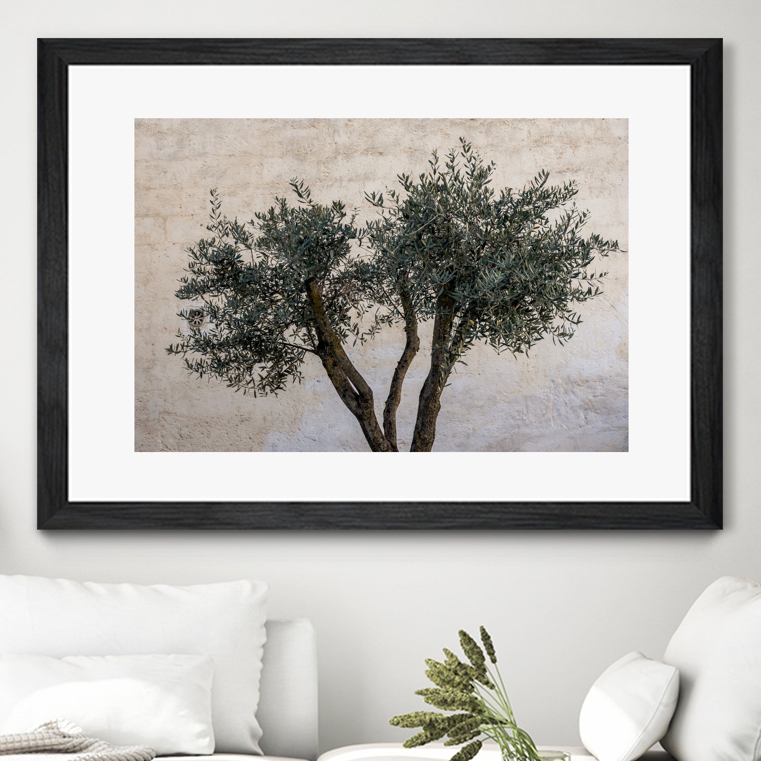 Olive Trees by Photolovers on GIANT ART - landscape plant