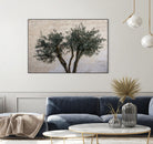Olive Trees by Photolovers on GIANT ART - landscape plant