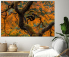 Golden Ratio by Junhao Wang on GIANT ART - orange botanical orange