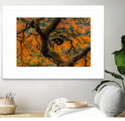 Golden Ratio by Junhao Wang on GIANT ART - orange botanical orange
