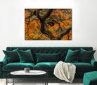 Golden Ratio by Junhao Wang on GIANT ART - orange botanical orange